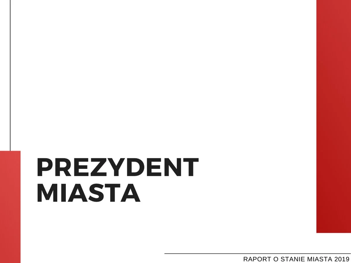 Raport o stanie miasta 2019 22