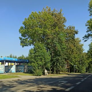 Nieczynna myjnia przy Tesco w Goduli zostanie rozebrana?