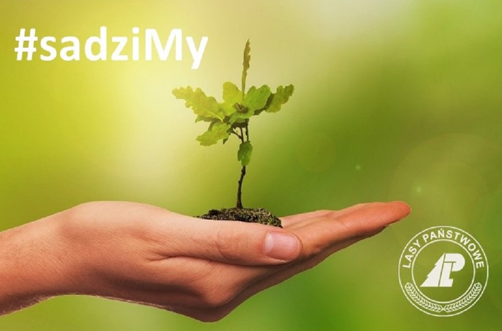 Akcji #sadziMy! Nadleśnictwo Brynek rozda sadzonki