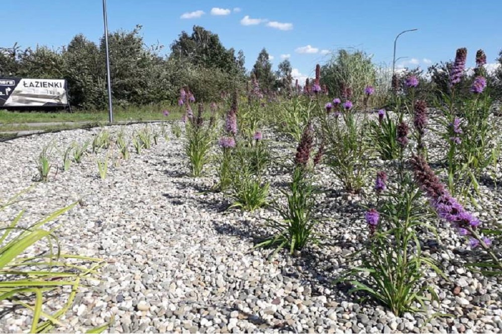 Zatrzymać deszcz czyli retencja i bioretencja w Tychach