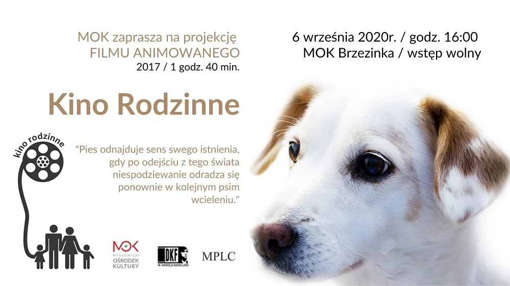 Kiino Rodzinne: historia o psie