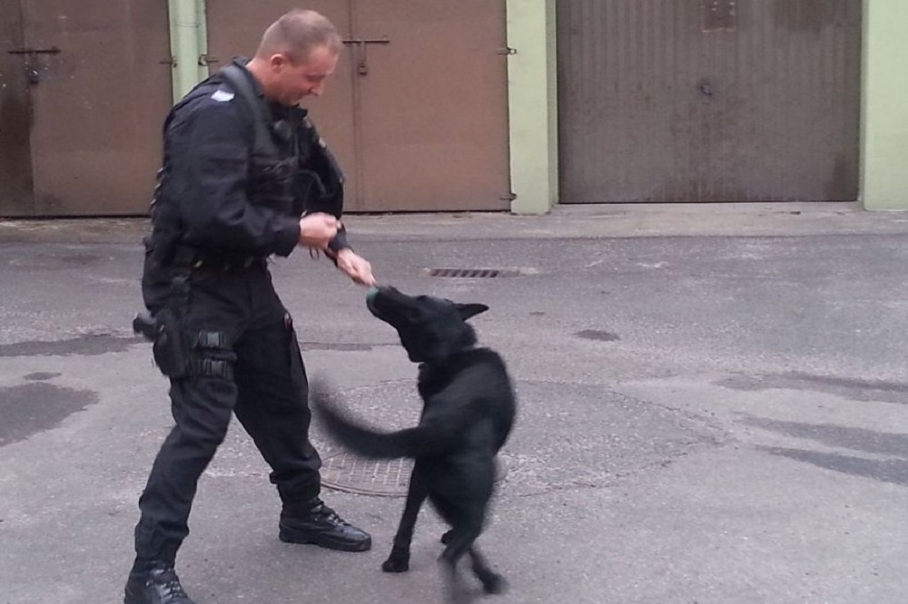 Uciekł z miejsca zdarzenia. Do sprawcy policjantów doprowadził pies