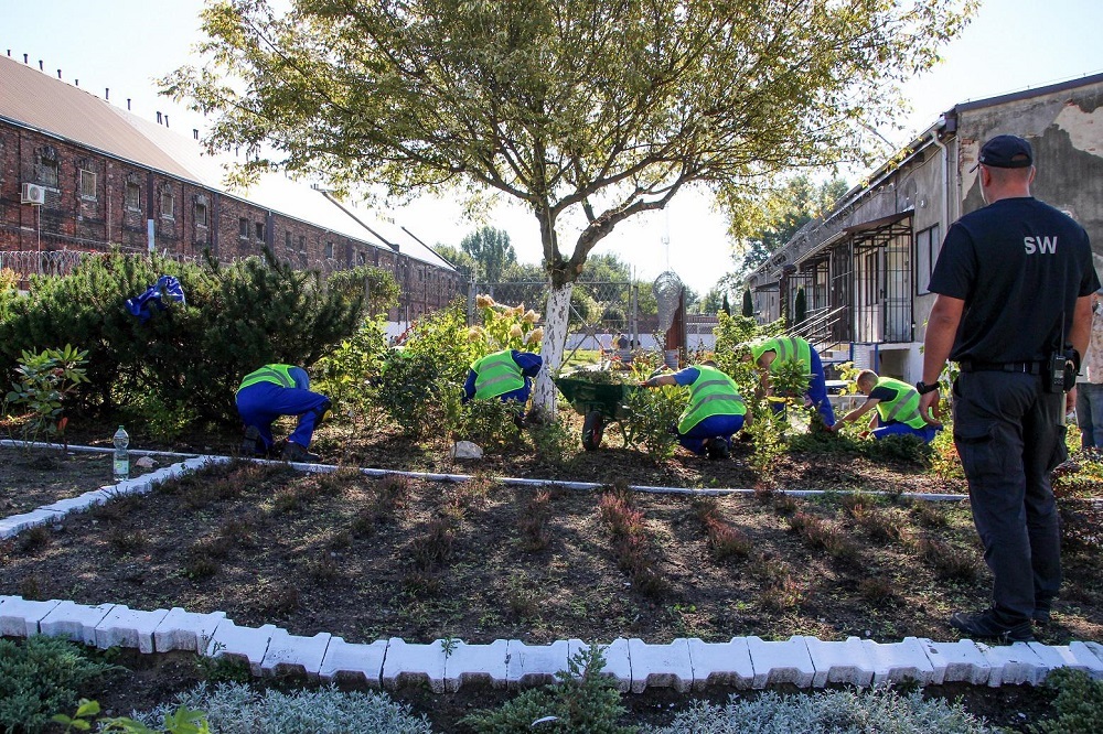 Służba Więzienna w Sosnowcu szkoli skazanych na ogrodników