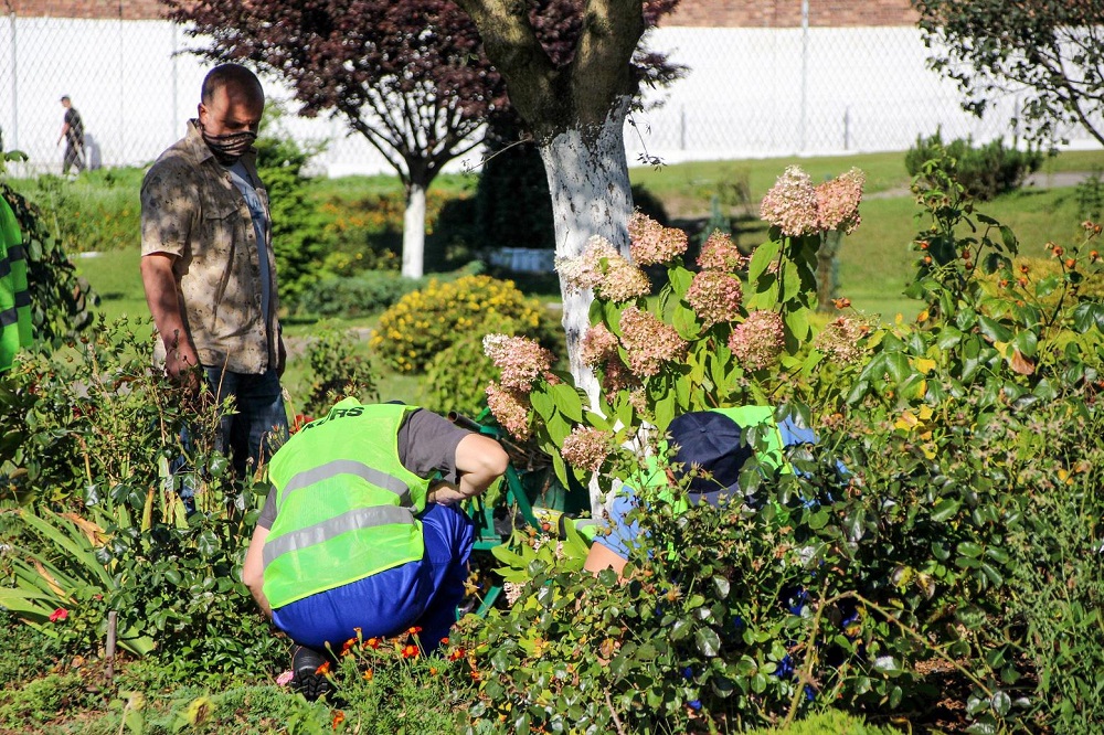 Służba Więzienna w Sosnowcu szkoli skazanych na ogrodników