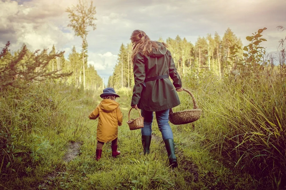 Grzybiarzu, nie zgub się w lesie!
