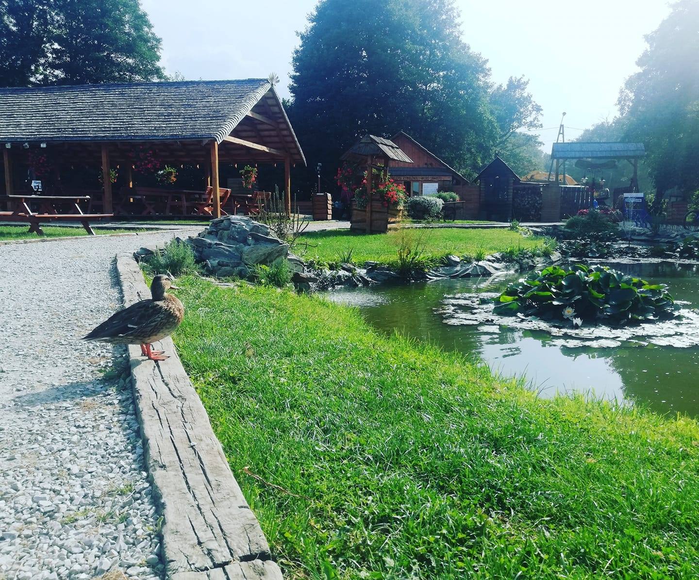 Fish Park „Rybołówka” - strefą bez maseczek i koronawirusa?