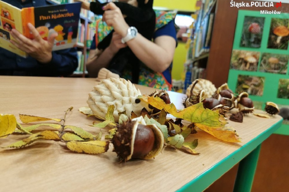 Ogólnopolski Dzień Głośnego Czytania z mikołowską Policją