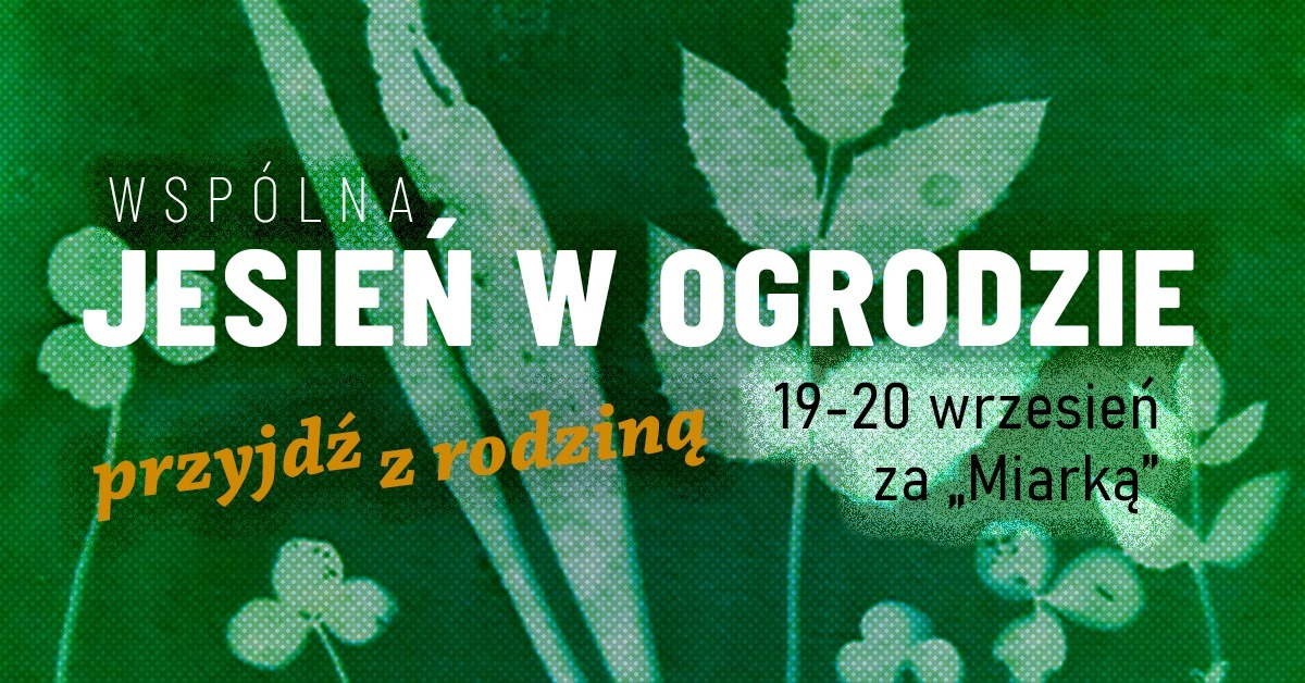Weź kocyk i przyjdź do Żorskiego Ogrodu Społecznościowego
