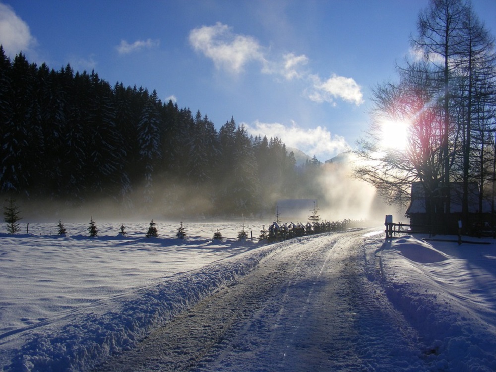 Czy warto wybrać się na kulig w Zakopanem?