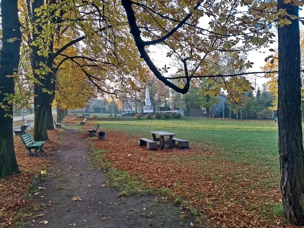 Jeszcze w tym roku zobaczymy lepszą wersję plant w Kochłowicach