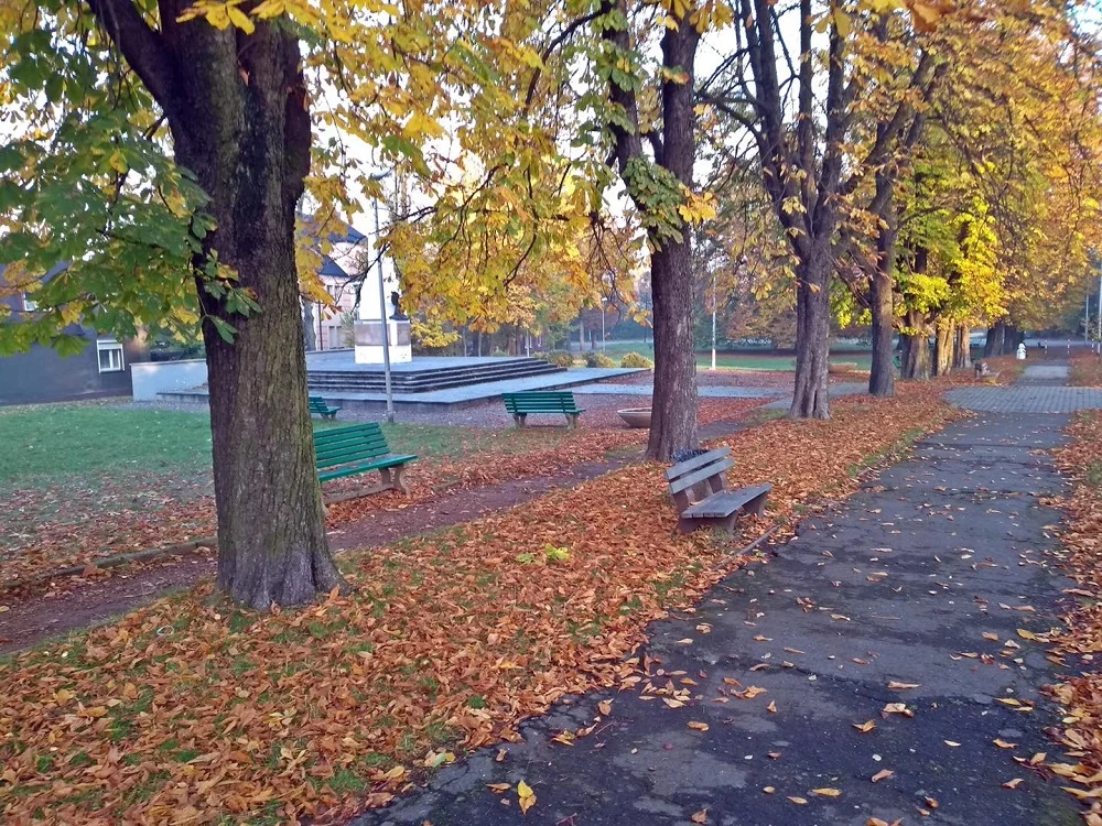 Jeszcze w tym roku zobaczymy lepszą wersję plant w Kochłowicach