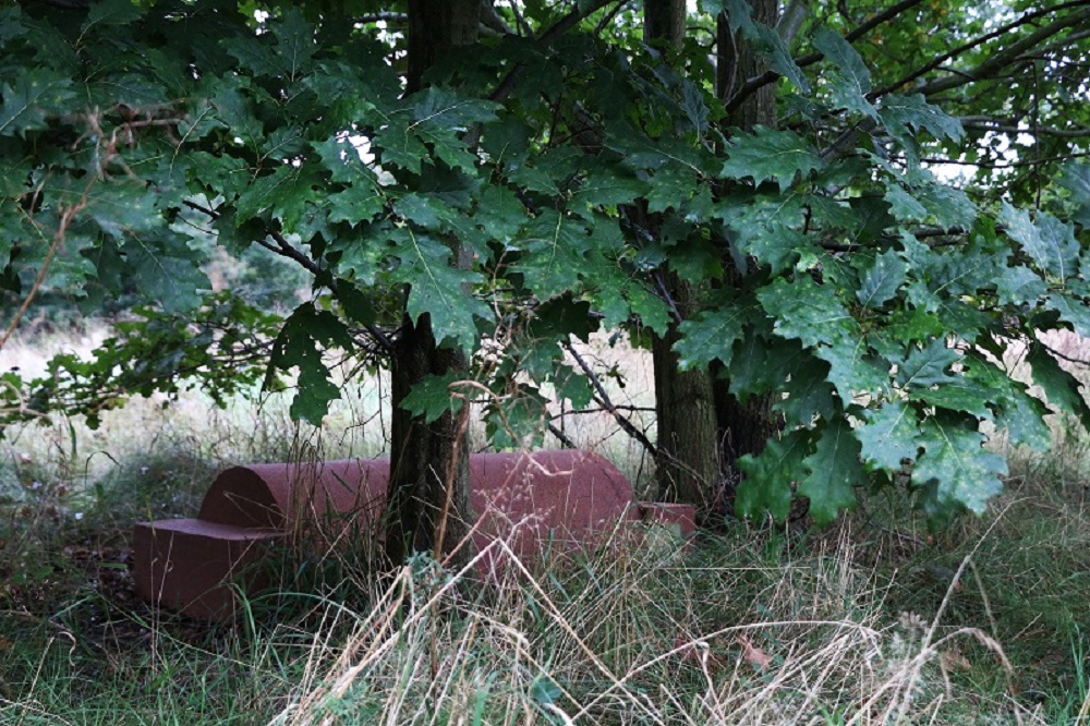 W parku pojawił się domek dla jeża od TAURONA