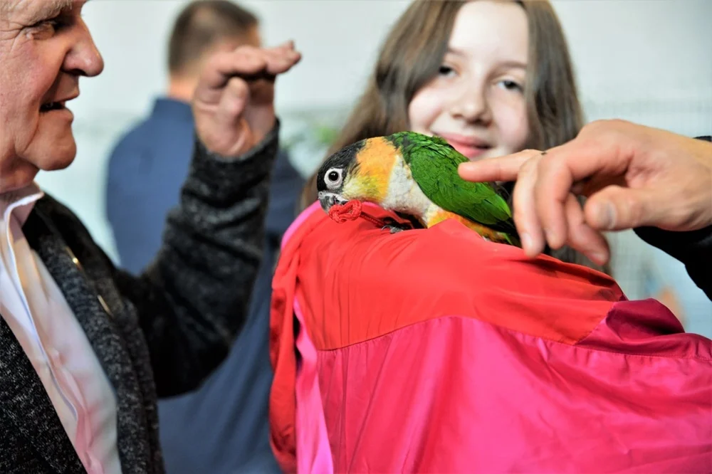 Wystawa Konkursowa Kanarków i Ptaków Egzotycznych