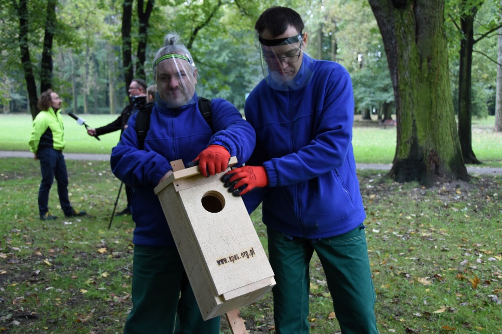 Pięć gwiazdek dla kawki