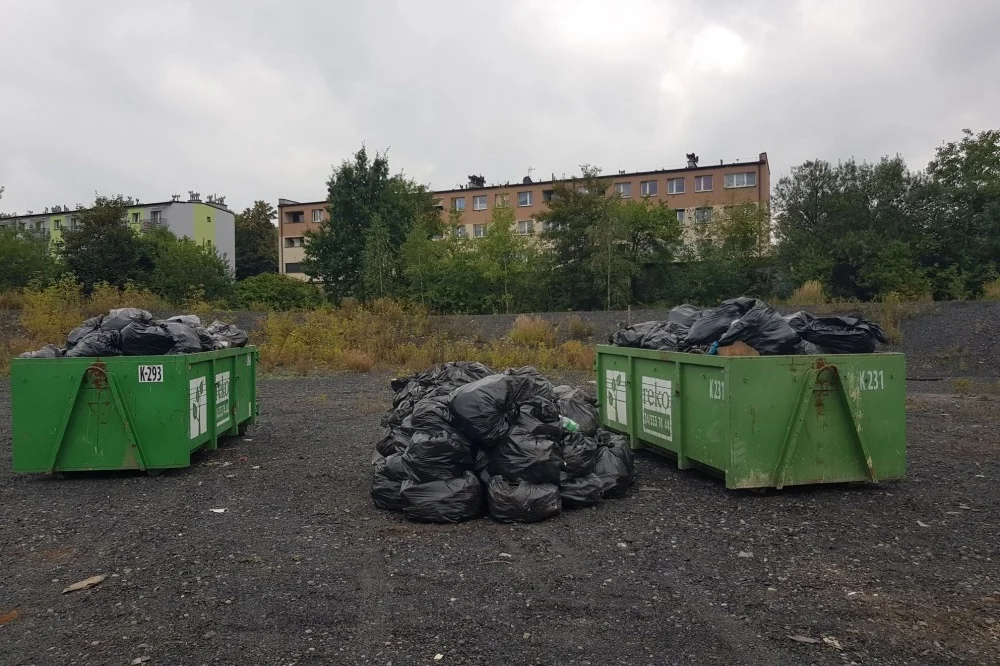 W Bytomiu likwidują wysypiska i karzą mandatami sprawców zaśmiecania