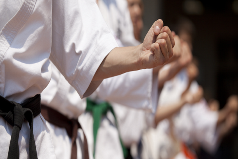 Kolejne medale dla Sosnowieckiego Klubu Karate