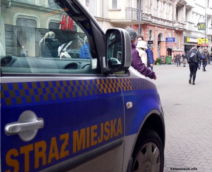 Strażnicy miejscy przeciwdziałają nielegalnemu handlowi na Stawowej