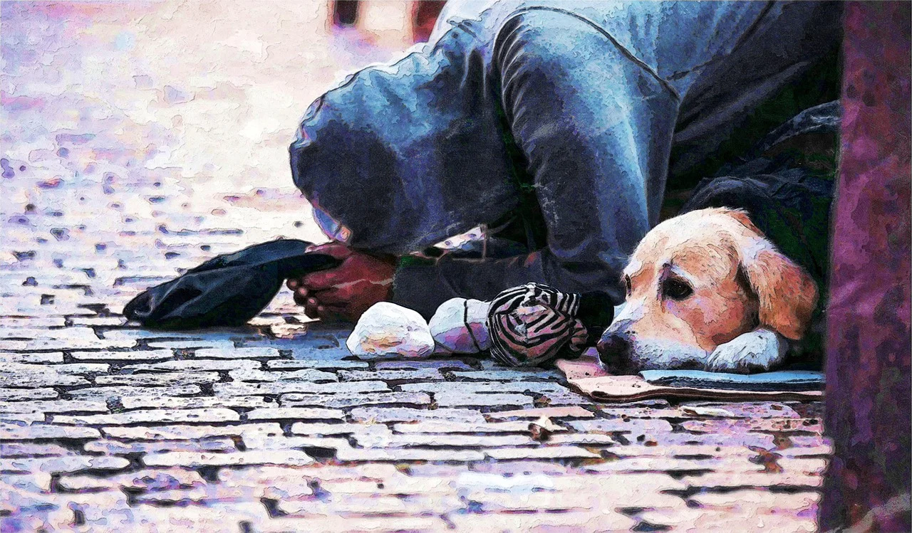 Apel w sprawie osób bezdomnych​