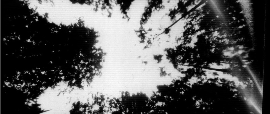 Przed nami kolejne Śląsko-Zagłębiowskie Szwendanie Okoliczne!