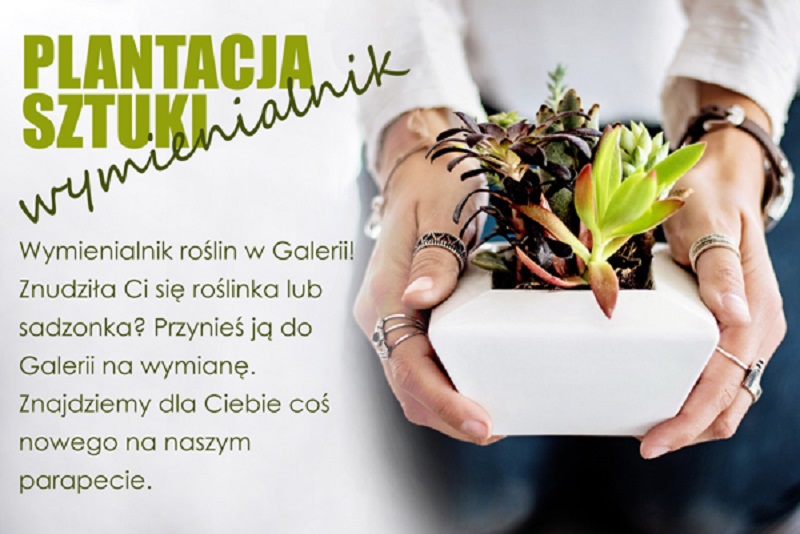 Czym jest Wymienialnik Roślin? Miejska Galeria Sztuki MM odpowiada!