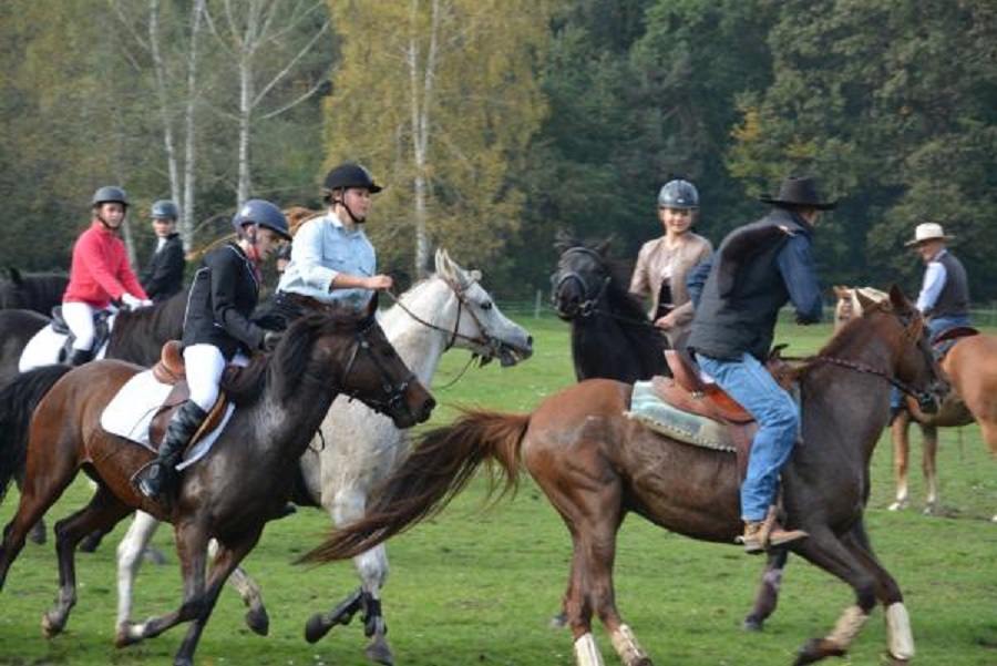 Przed nami Hubertus 2020! Jakie atrakcje czekają na miłośników koni?