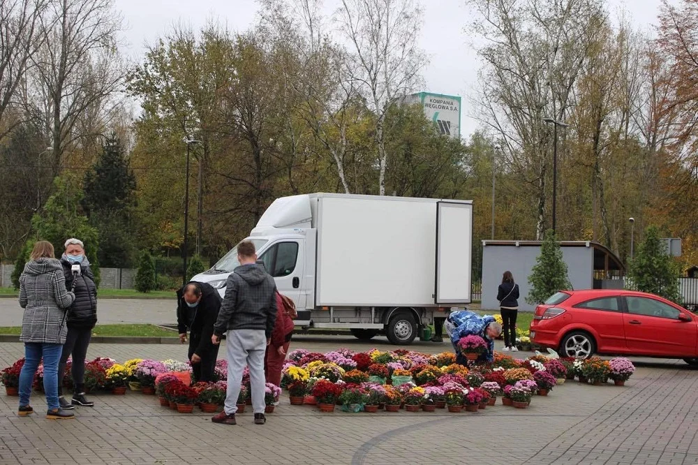 Na parkingu stadionu lekkoatletycznego trwa giełda kwiatowa