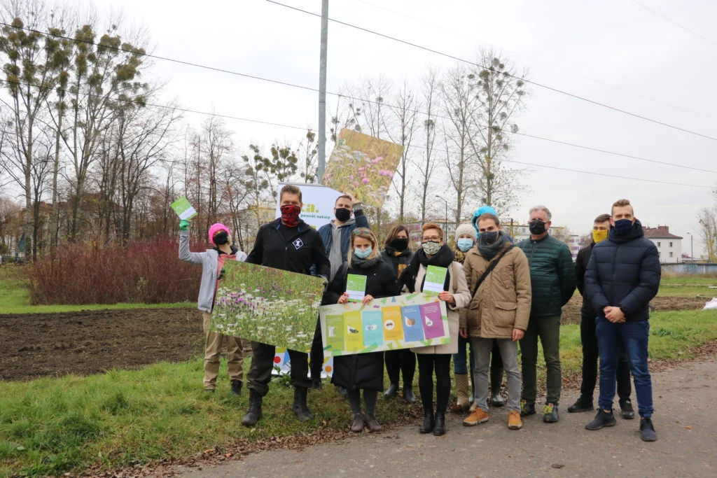 Metropolitalne Łąki Kwietne. Odbyły się warsztaty