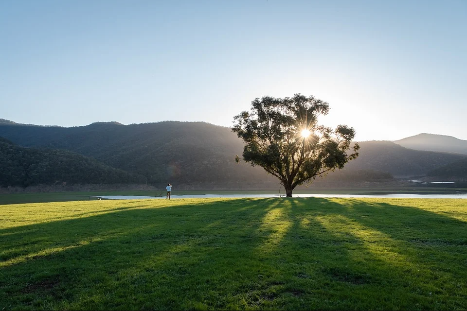 O czystym powietrzu w centrum Europy