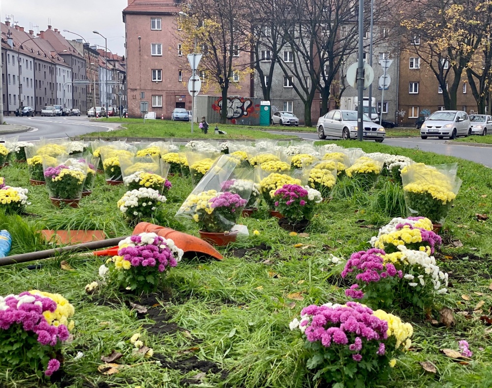 Kwiaty ozdobiły skwer przy ul. Miarki