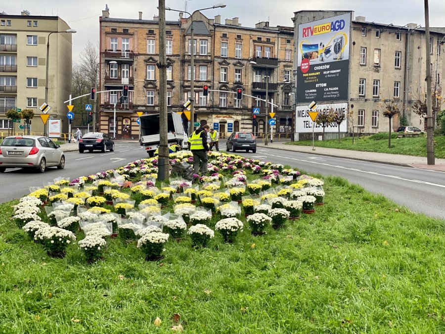 Kwiaty ozdobiły skwer przy ul. Miarki