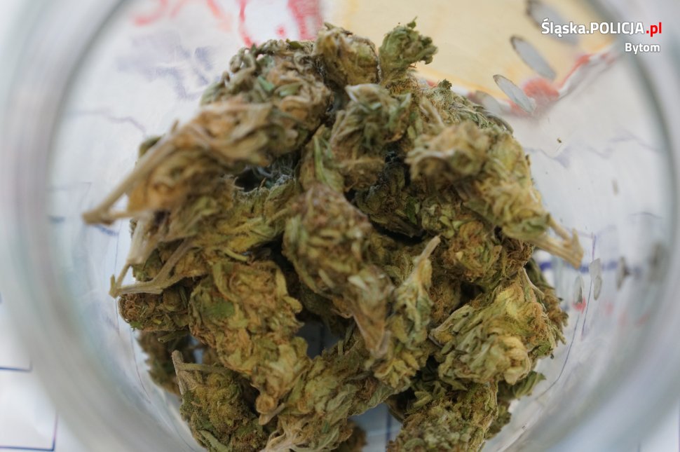Zatrzymana za posiadanie marihuany