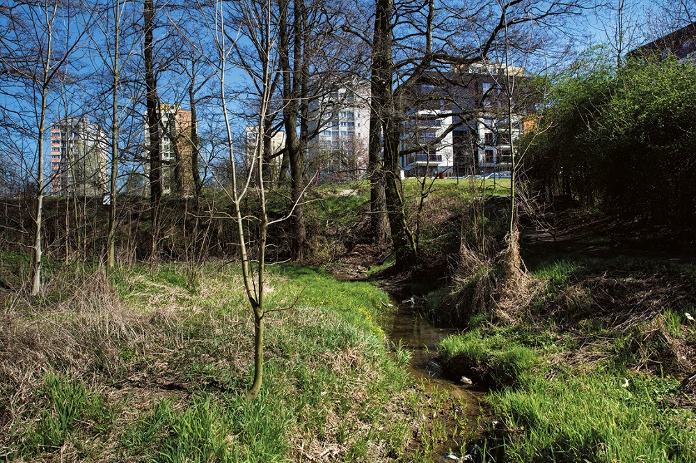 Zbiornik na Wilczych Dołach z zagospodarowaniem rekreacyjnym