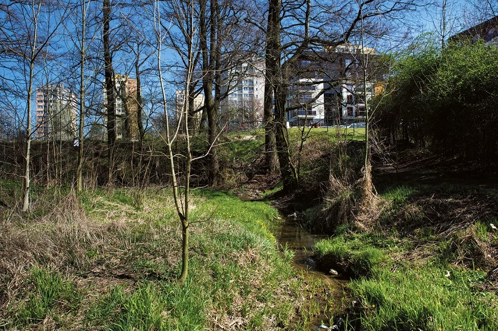 Zbiornik na Wilczych Dołach z zagospodarowaniem rekreacyjnym