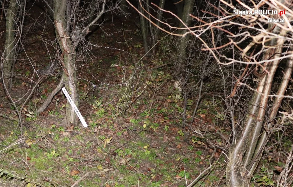 Gliwicka Policja szuka kłusownika zakładającego wnyki