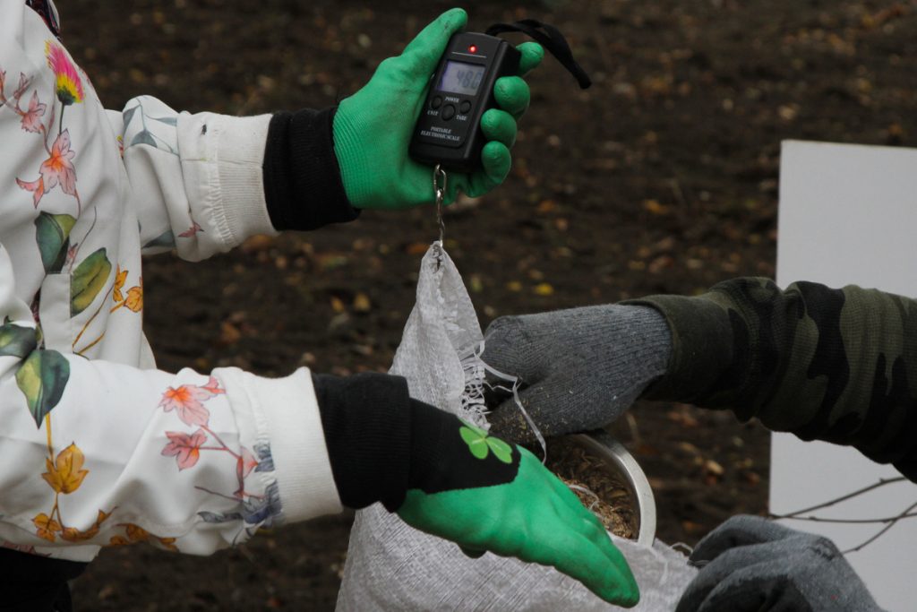 Rusza projekt Metropolitalne Łąki Kwietne