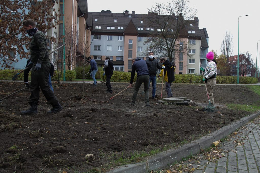 Rusza projekt Metropolitalne Łąki Kwietne