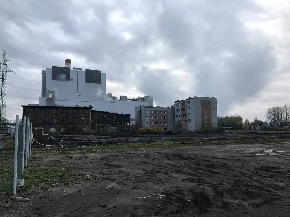 Zakończył się proces usuwania biomasy należącej do elektrociepłowni CEZ