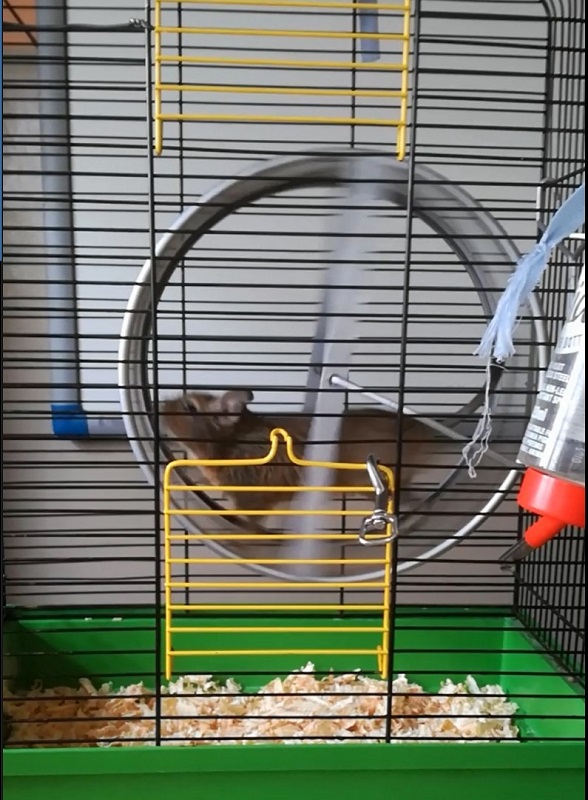 SP 39 w ogólnopolskim projekcie "Być jak Ignacy - Nauka to przyszłość"