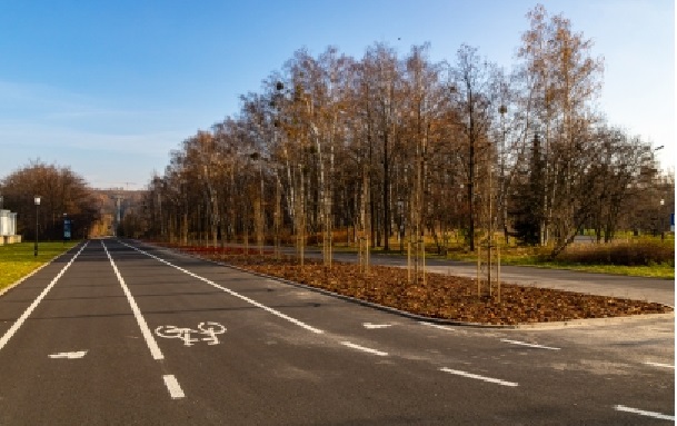 Krzewy, byliny i drzewa ozdobiły aleję Wiązową