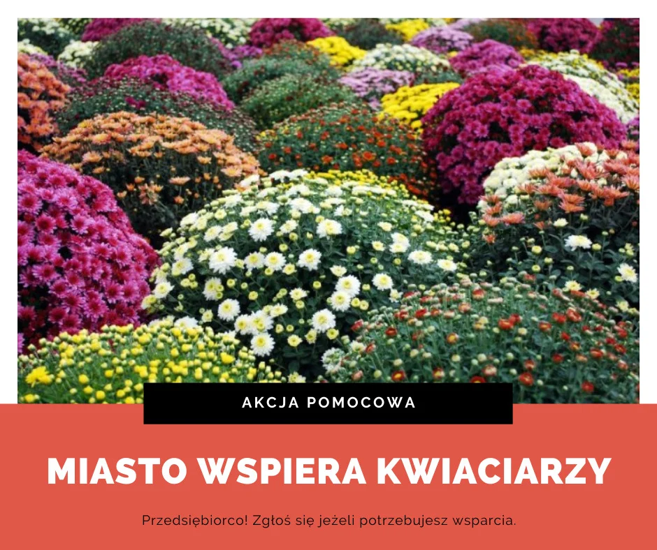 Świętochłowice: Miasto wspiera kwiaciarzy