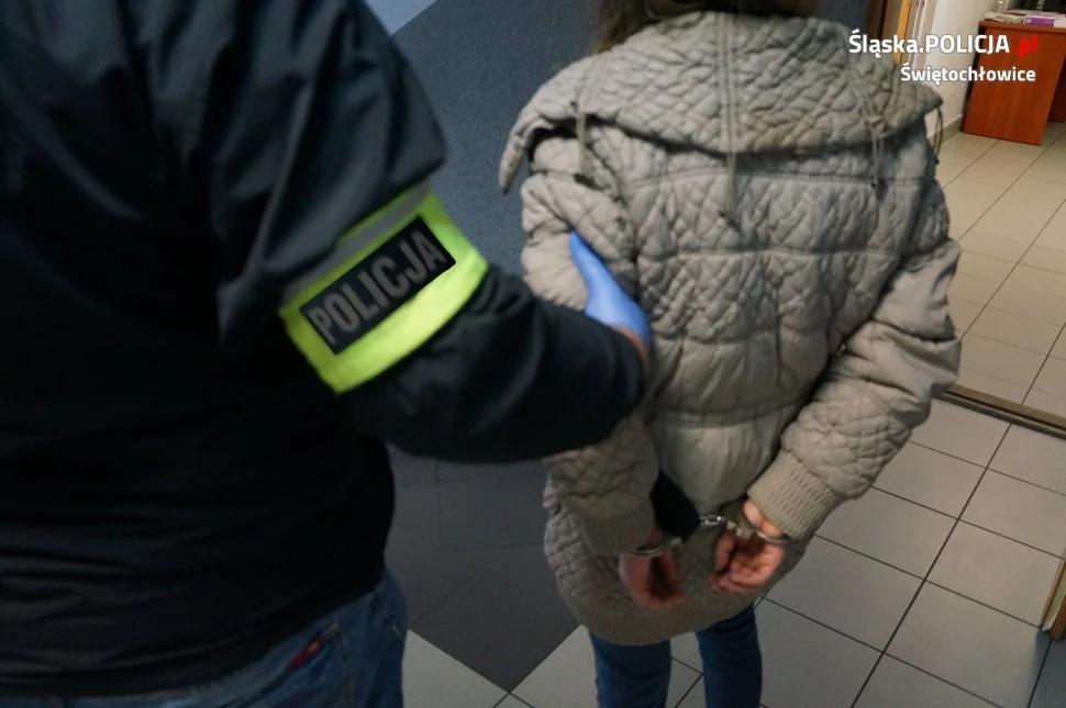 31-letnia agresorka odpowie za groźby, znieważenie i napaść na policjantów