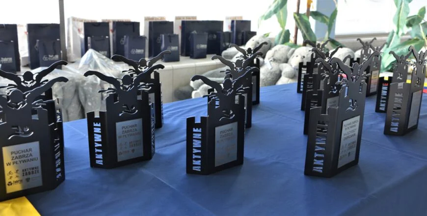 Zawody Pływackie o Puchar Prezydenta Miasta Zabrze