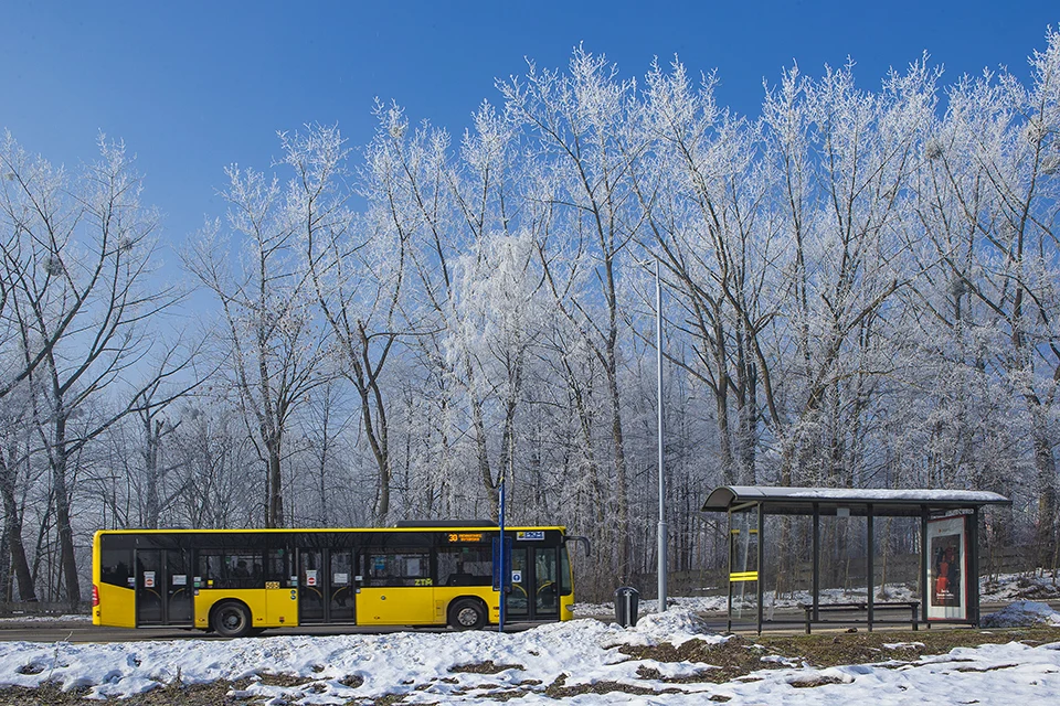 Zmiany w komunikacji miejskiej w okresie świątecznym 