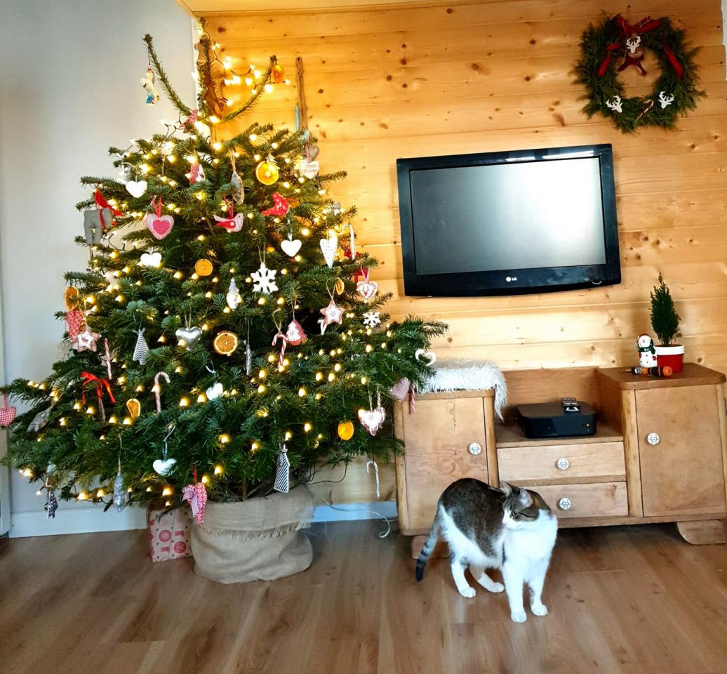 Świąteczny klimat w rudzkich domach 5