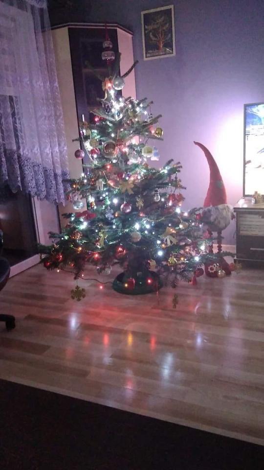 Świąteczny klimat w rudzkich domach 32