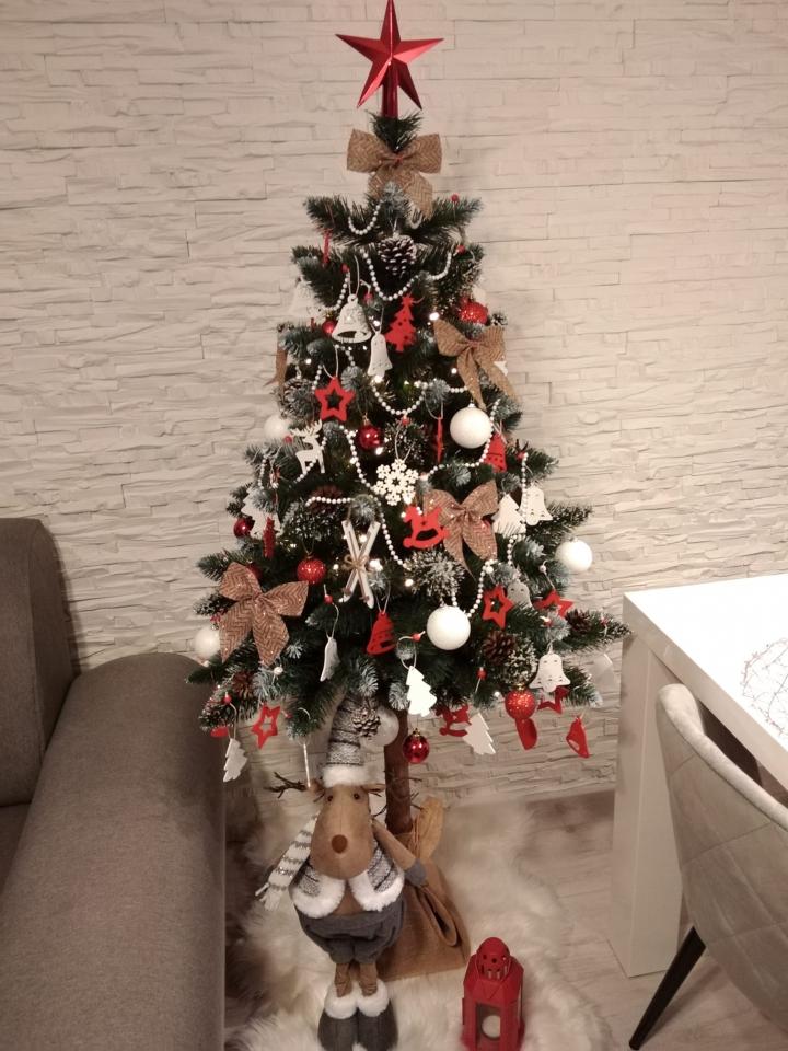 Świąteczny klimat w rudzkich domach 40