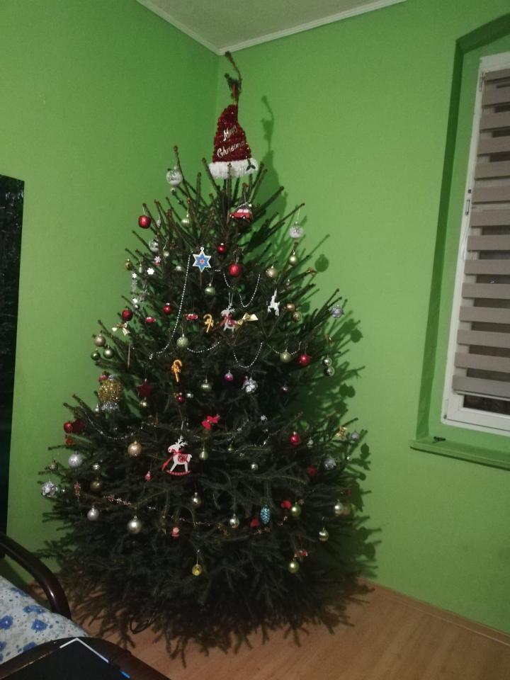 Świąteczny klimat w rudzkich domach 41