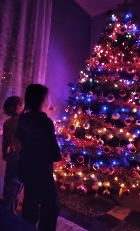 Świąteczny klimat w rudzkich domach 45