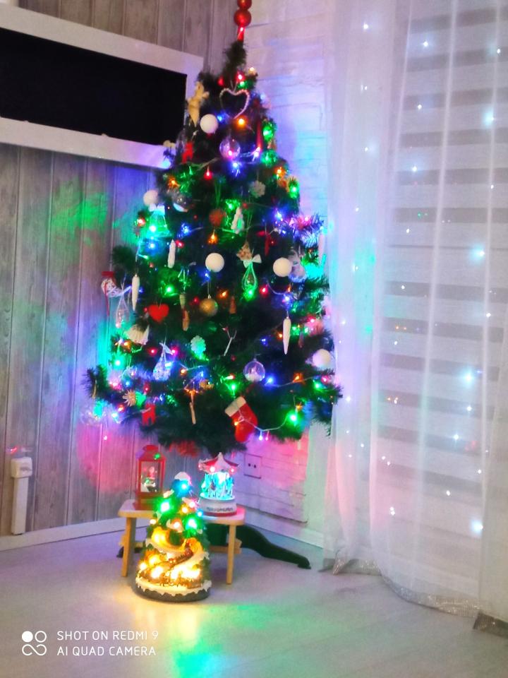 Świąteczny klimat w rudzkich domach 71