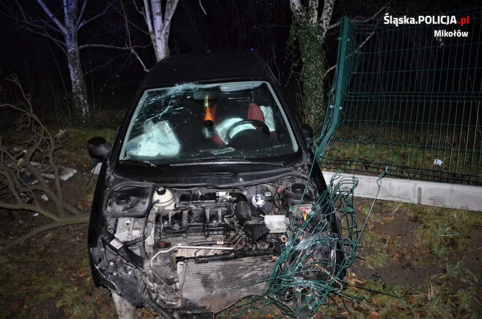 33-latek stracił panowanie nad pojazdem i uderzył w ogrodzenie posesji!